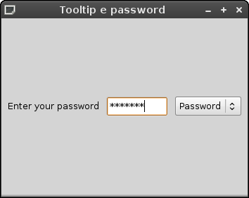 PyQt4: Tooltip and password